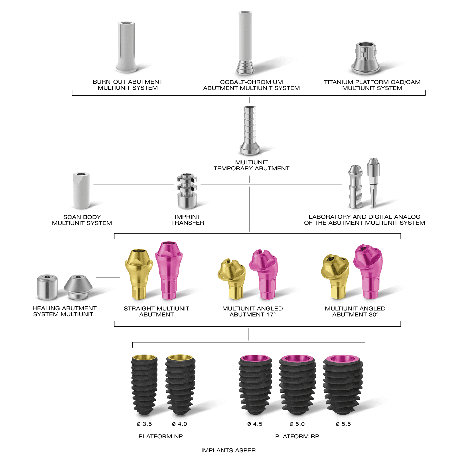 Prosthetic protocol of the asper multiunit system