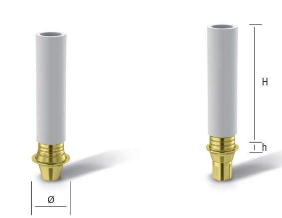 Asper cobalt chrome abutment np