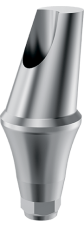 Angled titanium abutments 15°