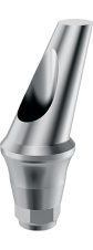 Angled titanium abutments 25°