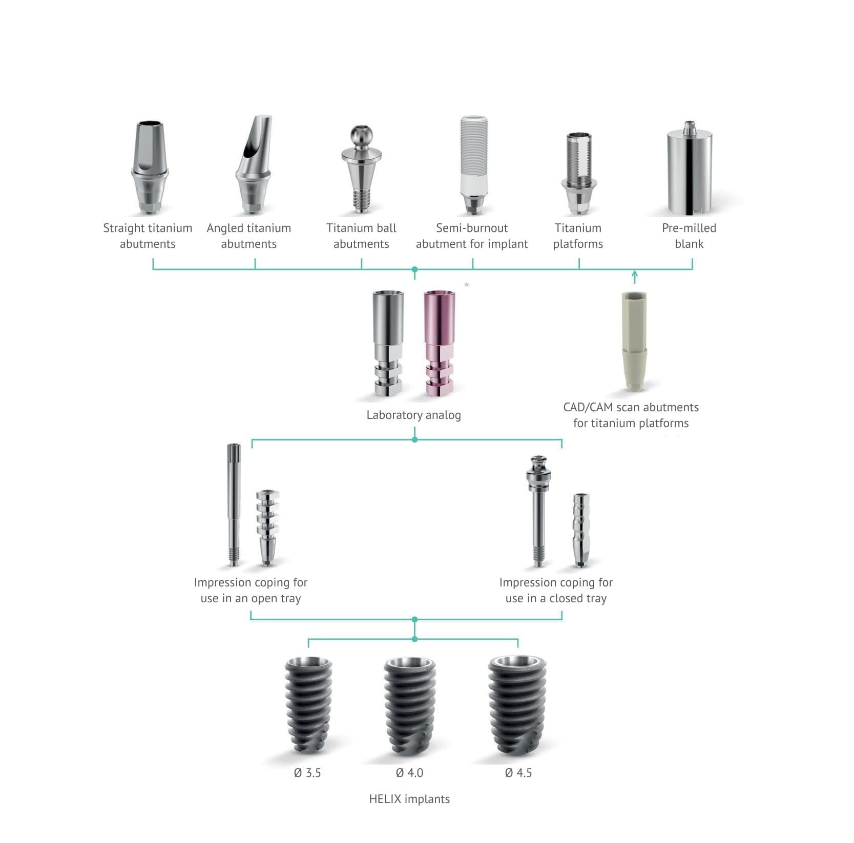 implant-level prosthetic protocol Bauers